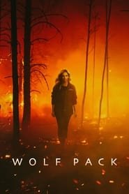 Wolf Pack Saison 1 en streaming